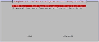 RaspiConfigBootOrderUSBBoot