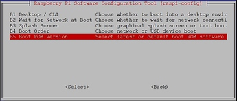 RaspiConfigBootRomVersion