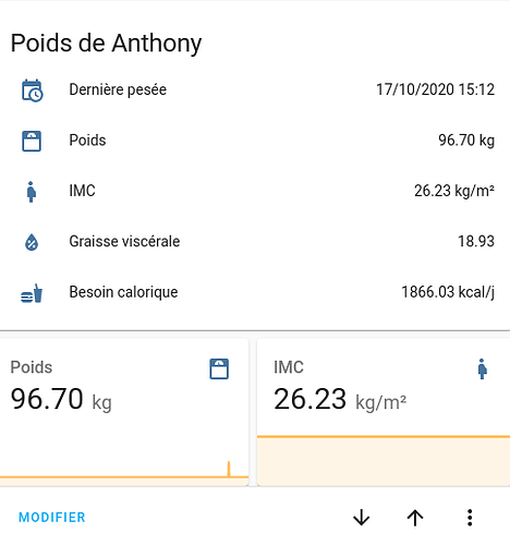 XiaomiMiScaleLovelaceDefaut1
