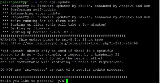 SudoRPiUpdate