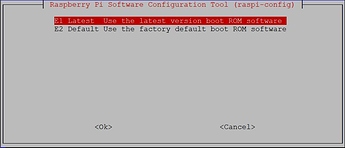 RaspiConfigBootRomVersionLatest