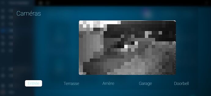 cam_censored