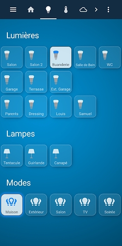 Screenshot_20220319-132156_Home Assistant