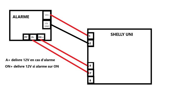cablage shelly