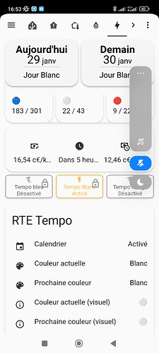 Screenshot_2024-01-29-16-53-39-473_io.homeassistant.companion.android