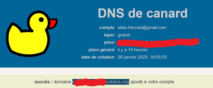 Duckdns0