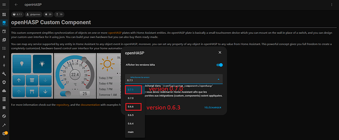 openhasp hacs version